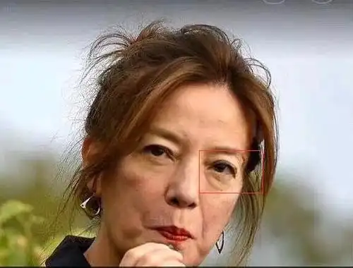 发现其实远远没有这么恐怖,网上流传的赵薇容嬷嬷既视感的照片被人