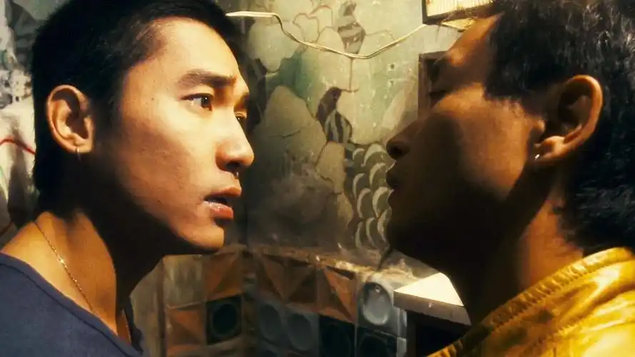 p>《春光乍泄》是由 a href="#" data-lemmaid="373607">王家卫 /a>