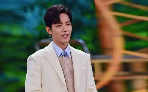 王俊凯肖战谁的商业价值更高(春晚节目播放量排行公布)(6)