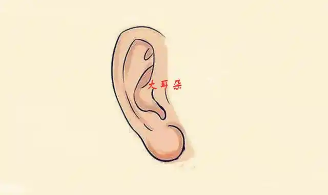 十种耳朵类型看命运,六个富贵四个穷,你是哪种就是什么命