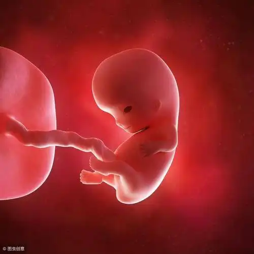 第5周的胎儿 怀孕9-12周(第三个月) 胎儿的体重是16.4克,身长7.