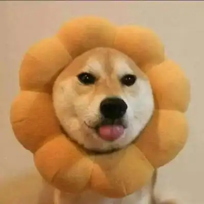 头像图片2021最火沙雕高清最近很火的沙雕微信头像