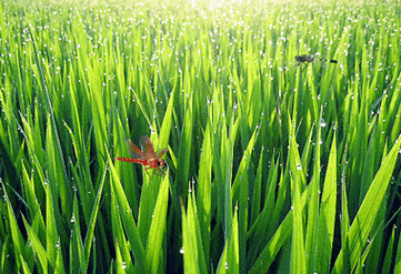 380_260gif 动态图 动图