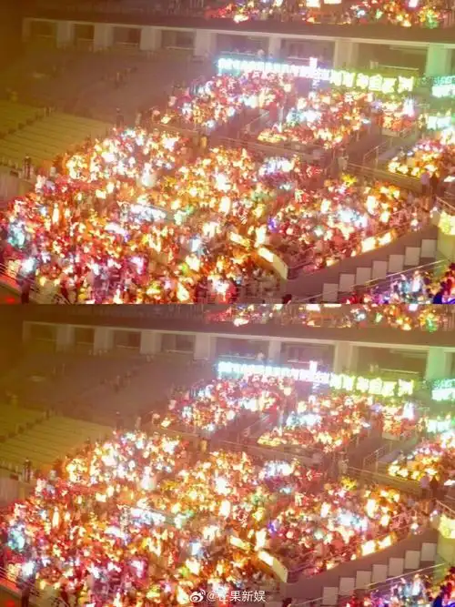 张极大连演唱会桔海应援