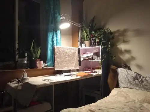 已经找到房子和室友了,谢谢大家