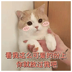 表情包 | 情侣专属可爱表情包