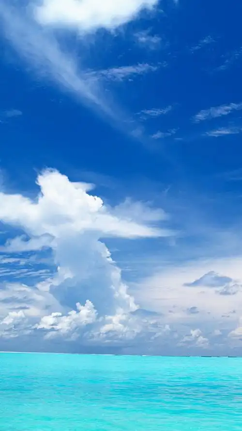 780_1386竖版 竖屏