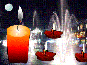 308_231gif 动态图 动图