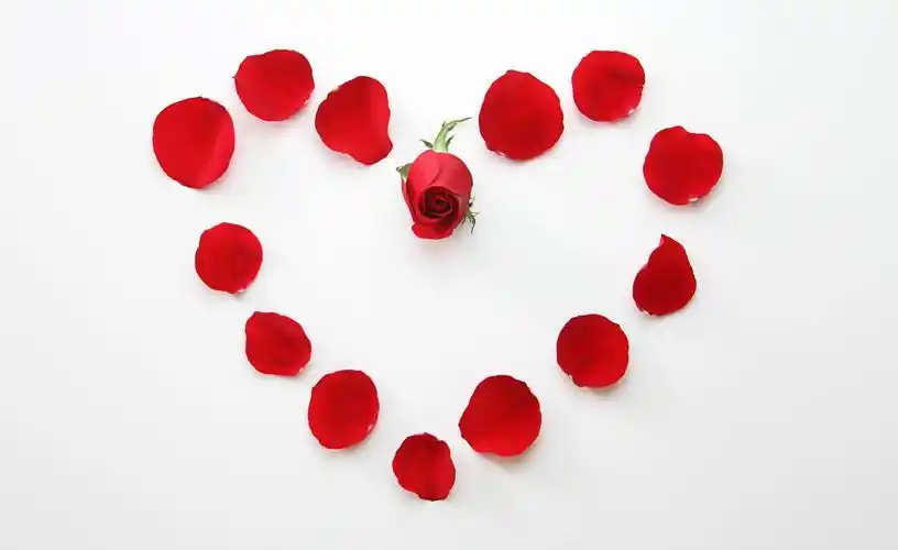 高清晰玫瑰心形拼图壁纸