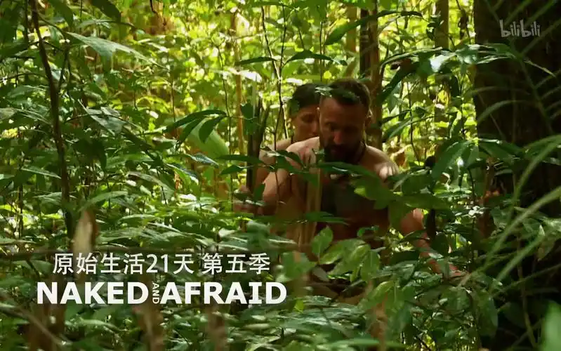 原始生活21天 第五季第12集-纪录片-全集-高清独家在线观看-bilibili