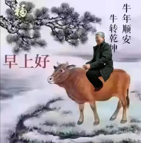 2021年微信群生活