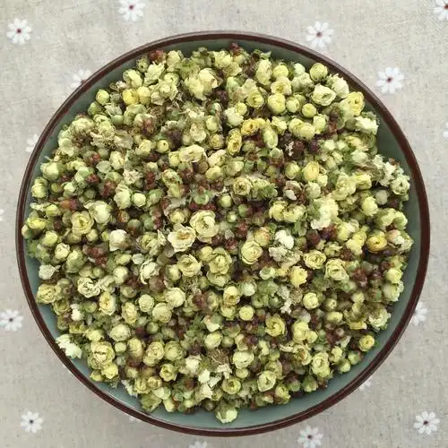 2022新白梅花茶 中药绿萼梅 绿梅花黄山产地直发散装 绿鄂梅