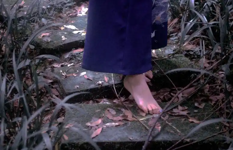 高质量喜欢拿记得关注!