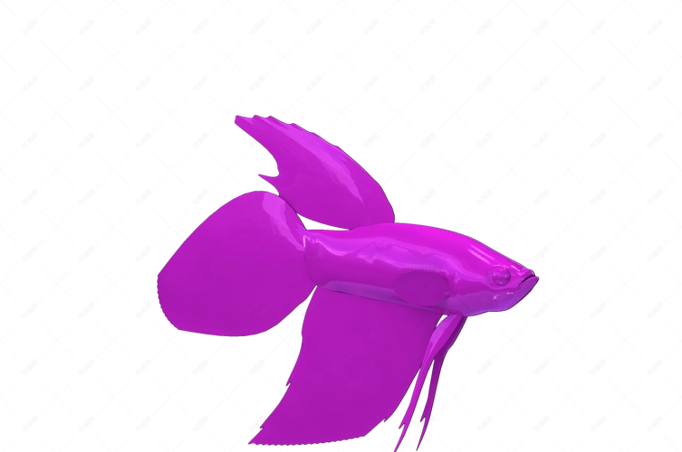 紫色卡通简约金鱼热带鱼素材