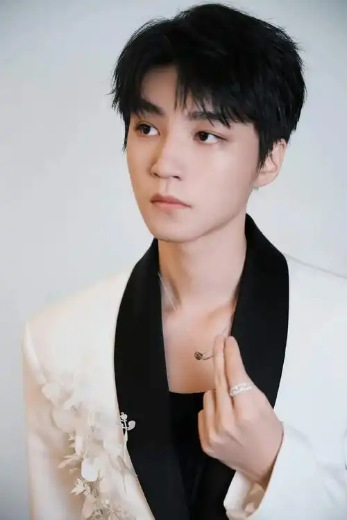 王俊凯工作室出图,画框中的忧郁少年  没有技巧   24k纯硬帅