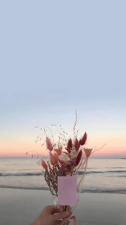 相关标签小清新治愈系花朵上一图集:牛年百家姓简约唯美心愿下一图集