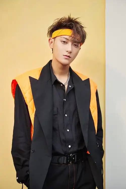 黄子韬为什么会手语