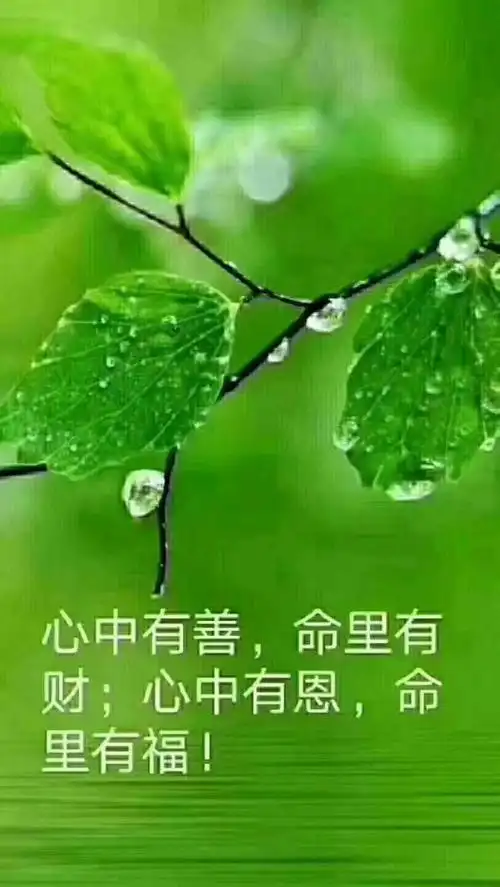 文字有如一个温柔的江南女子,将你所有的沮丧,消极,难堪尽收入她的