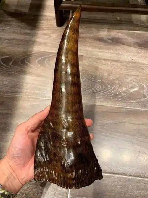 犀牛角_网易订阅