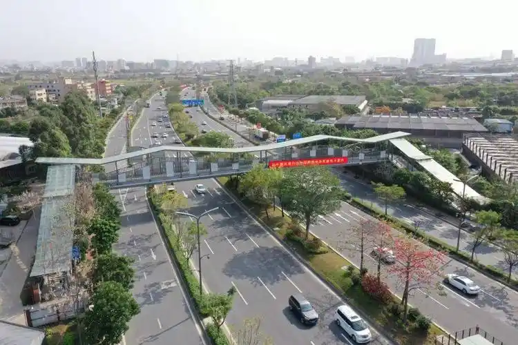 南海11座网红天桥上新等你命名送福利