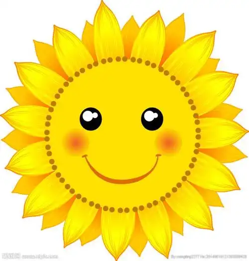 笑脸葵花菊花