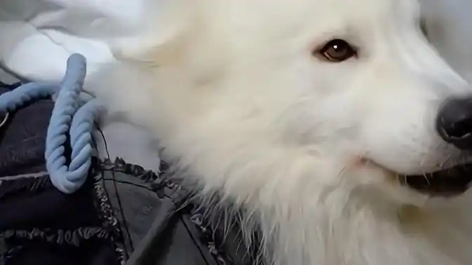 『刘耀文』 有种土豆吃东西不带他吃的感觉