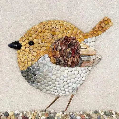 爱了爱了:贝壳拼出的美丽动物