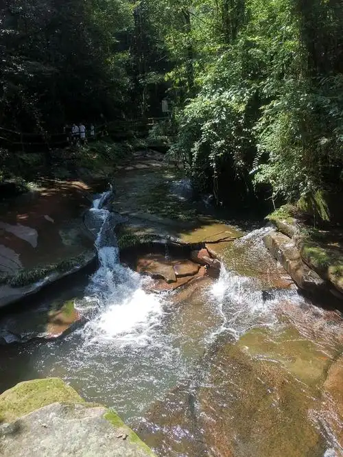 碧峰峡,国家5a级旅游景区,位于四川省雅安市雨城区碧峰峡镇.