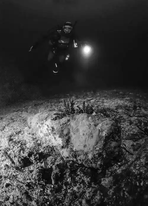 703_974竖版 竖屏