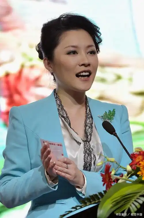 紫凝:央视之美,独自绽放的魅力传奇