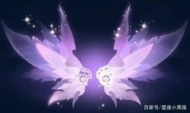 十二星座最梦幻的叶罗丽翅膀摩羯座的霸气天蝎座的最炫酷