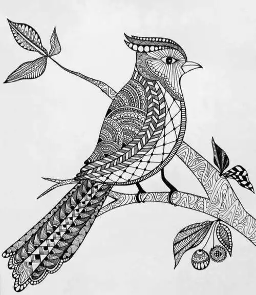 能让你画吐血的几张黑白线描画,不知道你能不能坚持画完!