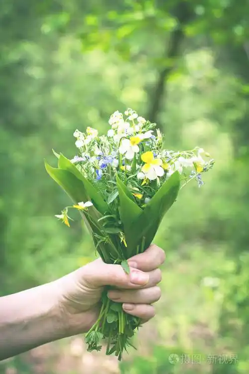 一束百合花的山谷和森林紫罗兰在一个女人的手