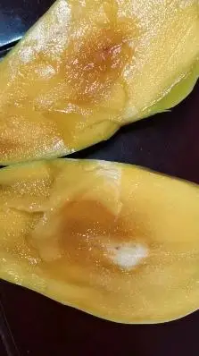 这大芒果有点烂了