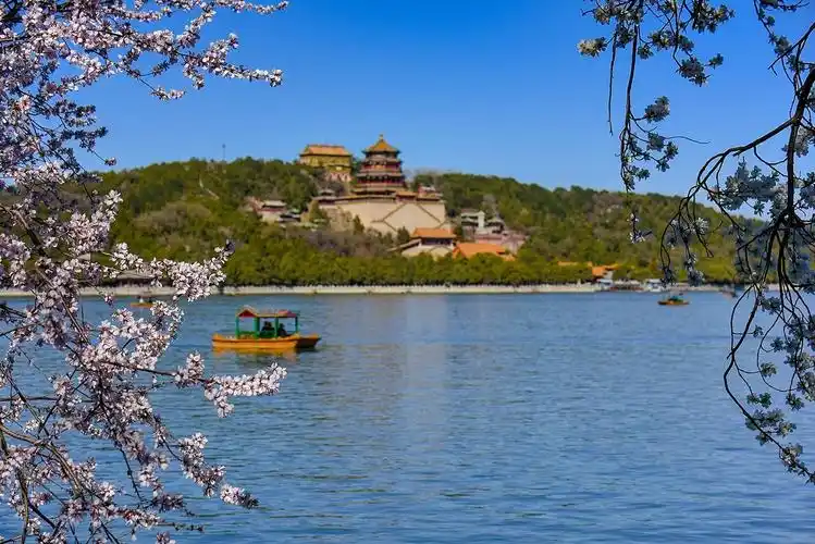 作品论坛>自然风景论坛>#花开春光寻美景#——颐和园西堤桃花0324>