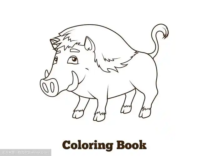 森林动物野猪卡通着色书