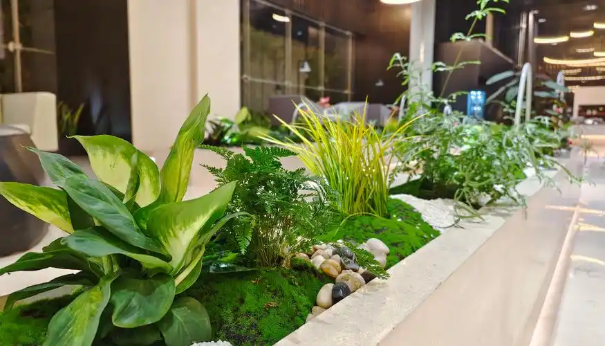 成都站-成都植物租赁|花漾锦江室内植物造景|成都美汇园艺有限公司