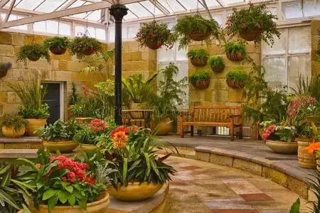 室内花园风景区照片