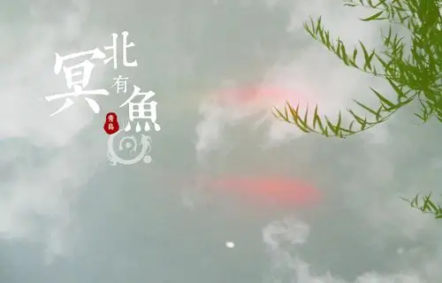 北冥有鱼
