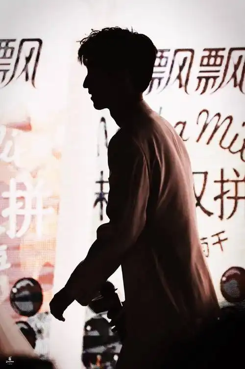 王俊凯逆天剪影照立体五官构成绝世容颜