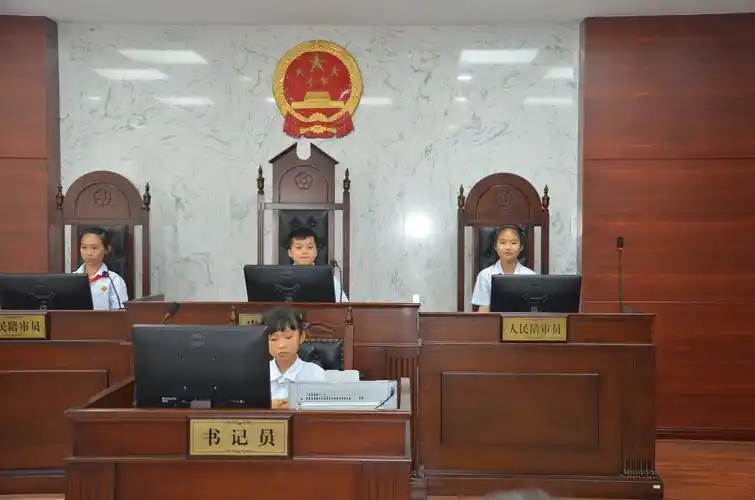 写美篇法庭辩论,最后陈述,宣判等一系列环节, 真实再现了刑事案件