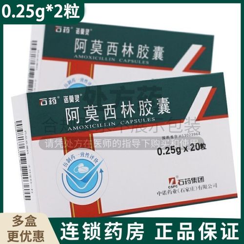石药 阿莫西林胶囊 0.25g*20粒/盒 rx