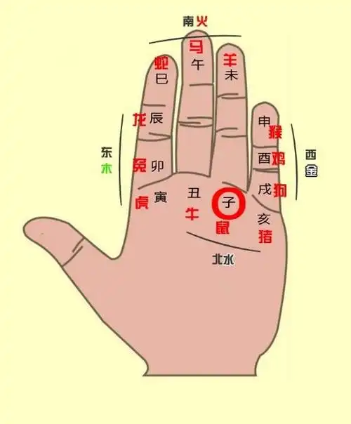 十二生肖傻傻分不清?轻松记忆"地支掌",学会了一辈子受益