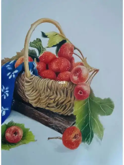 彩铅画山楂静物