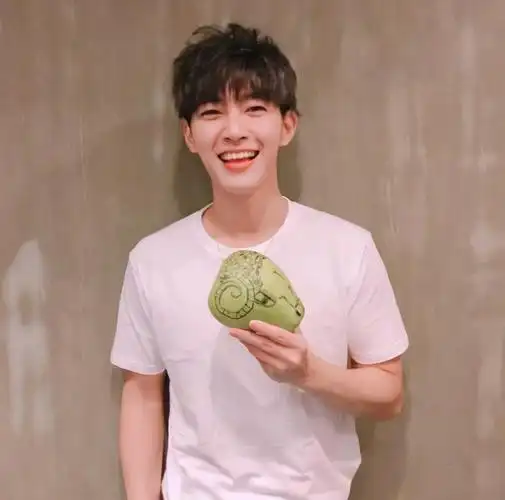 前当红男团成员参加《创4》,或沦为节目炒热度工具人_蔡贵霖