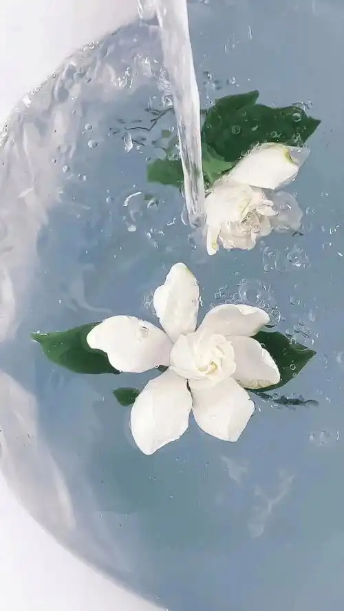 ins风全面屏壁纸分享