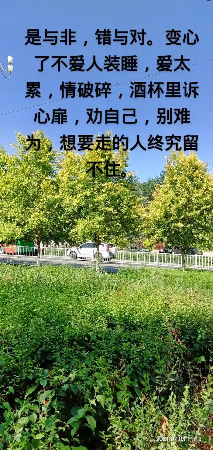 拍同款,3分钟,加图片点图集,发送出来就会动了,#你们学会了 - 抖音