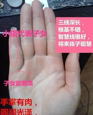 生男生女看手就清楚手相中出现这一点头胎一定生儿子