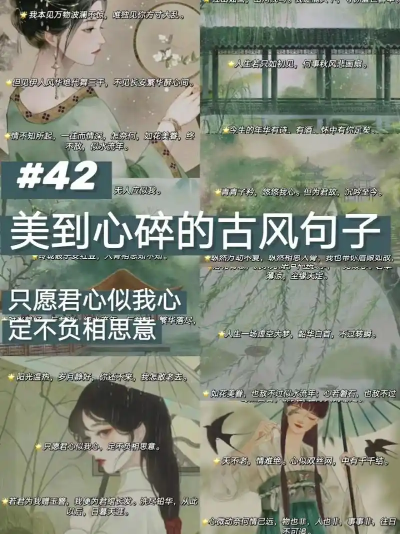 今天想要分享给大家的是,美到心碎的古风句子,哪一句打动了你呢