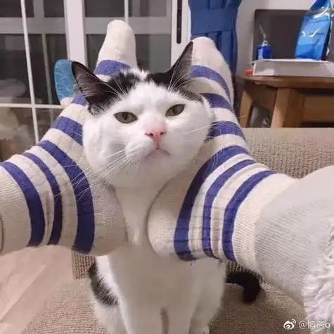 三人闺蜜头像沙雕图片大全